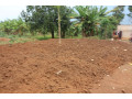 residential-plot-for-sale-in-bugesera-near-airport-hot-deal-small-0