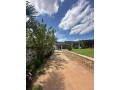 plot-with-house-for-sale-in-remera-small-4