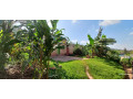 plot-for-sale-in-gisas-at-agood-place-small-3