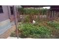 kigali-house-for-sale-in-rebero-small-2