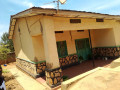 plot-for-sale-in-nyamirambo-small-5