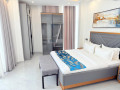 kimihurura-nice-furnished-apartment-for-rent-in-kigali-small-5
