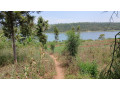 rwamagana-muhazi-land-for-sale-small-3