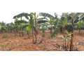 industrial-land-for-sale-in-bugesera-near-airport-of-rwanda-small-1
