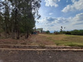 rebero-small-1
