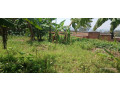kigali-gasabo-gisasa-plot-for-sale-small-3