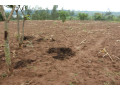 industrial-land-for-sale-in-gahanga-kigali-rwanda-small-2