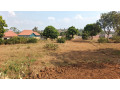 kanombe-nyarugunga-plots-for-sale-45m-50m-small-2