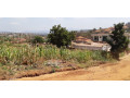 ikibanza-kigurishwa-35m-kimironko-zindiro-small-0