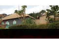 largest-land-for-sale-with-a-house-small-9