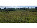 residential-plot-for-sale-in-bugesera-near-airport-hot-deal-gashora-small-0