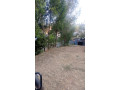 plot-for-sale-in-nyamirambo-small-2