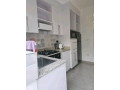 nyarutarama-furnished-1bedroom-apartment-for-rent-at-750-in-good-location-small-4