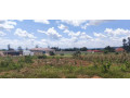 bugesera-nyamata-maranyundo-plot-for-sale-small-2