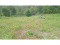 land-for-sale-in-batsinda-kagugu-small-1