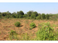 industrial-land-for-sale-in-bugesera-near-airport-of-rwanda-small-2