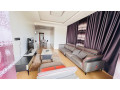 gisozi-fully-furnished-2bedrooms-apartment-for-rent-at-680-in-good-location-small-5