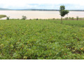 land-for-sale-in-bugesera-mwendo-rwanda-access-on-lake-small-2