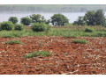 land-on-lake-for-sale-in-bugesera-near-airport-of-rwanda-small-1