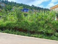 kigali-nice-plot-of-340sqm-for-sale-in-zindiro-upper-side-of-the-road-small-1