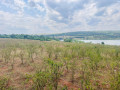 lake-view-land-for-sale-in-rwamagana-muhazi-360m-small-2