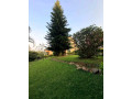 this-is-beautiful-fully-furnished-house-for-rent-in-gishushu-on-tarmac-road-good-location-in-prime-neighborhood-small-1