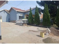 niboyi-small-3