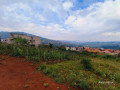 birembo-small-3