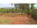 plot-for-sale-in-ndera-on-auctioncyamunara-small-12