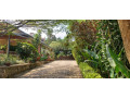 kigali-unfurnished-family-villa-available-for-rent-in-nyarutarama-small-2