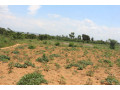 land-for-sale-in-bugesera-nembanear-industrial-park-of-rwanda-small-0