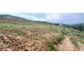 plot-for-sale-in-rwamagana-at-agood-sale-small-0
