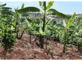 kigali-plot-for-sale-in-gahanga-small-5