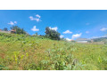 land-on-sale-at-kibagabaga-small-1
