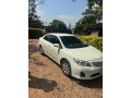 toyota-corolla-small-3