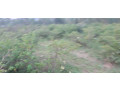 land-for-sale-in-gahanga-kigali-rwanda-in-ecotourism-and-hotel-small-2