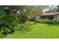 kiyovu-plot-for-sale-small-1