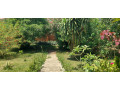 kigali-nice-house-available-for-rent-in-kacyiru-small-5