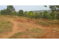 plot-for-sale-in-ndera-on-auctioncyamunara-small-11