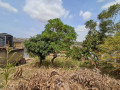 kibagabaga-small-0