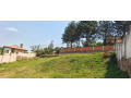 nyarutarama-plot-for-sale-500m-small-5
