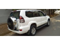toyota-prado-small-1