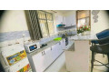 remera-near-bk-arena-furnished-apartment-for-rent-small-2