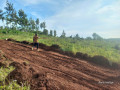 plot-for-sale-in-muyumbu-at-agood-place-small-1