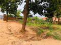 kagugu-plot-for-sale-small-5