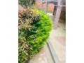 ep-062a-kiyovu-kiyovu-well-furnished-apartment-for-rent-at-lowest-price-at-450k-rwf-small-11