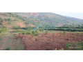 mukuyu-ndera-plot-for-sale-small-4