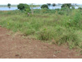 land-for-sale-in-bugesera-ririma-near-airport-of-rwanda-hot-deal-small-2