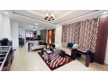 kiyovu-furnished-very-nice-decent-apartments-for-rent-with-swimming-pool-in-a-beautiful-neighborhood-kigali-rwanda-small-3