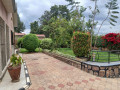 kacyiru-house-for-rent-small-6